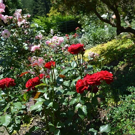 努德尔巴彻兰迪伊尔酒店 酒店