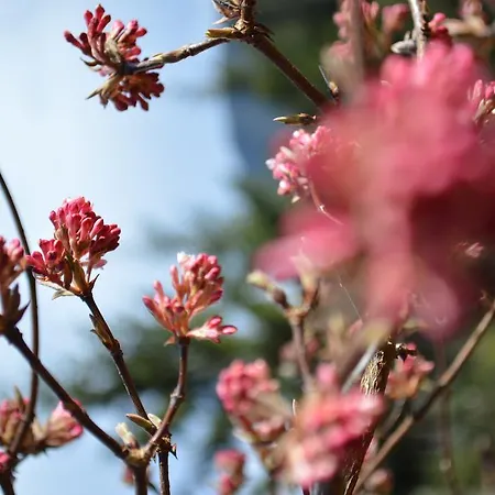 努德尔巴彻兰迪伊尔酒店 4* 菲尔德茵卡特