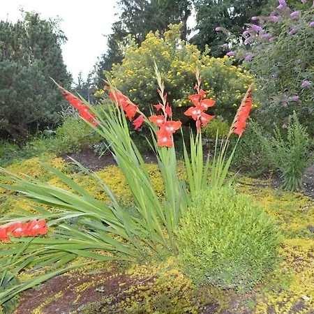 فندق Landidyll-hotel Nudelbacher