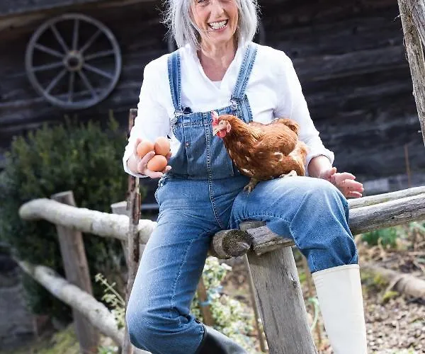 努德尔巴彻兰迪伊尔酒店 菲尔德茵卡特