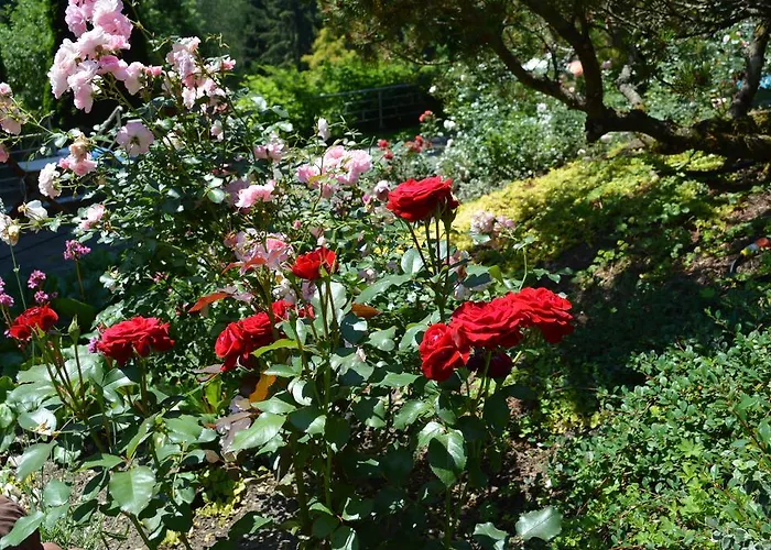 Landidyll-hotel Nudelbacher Hotel