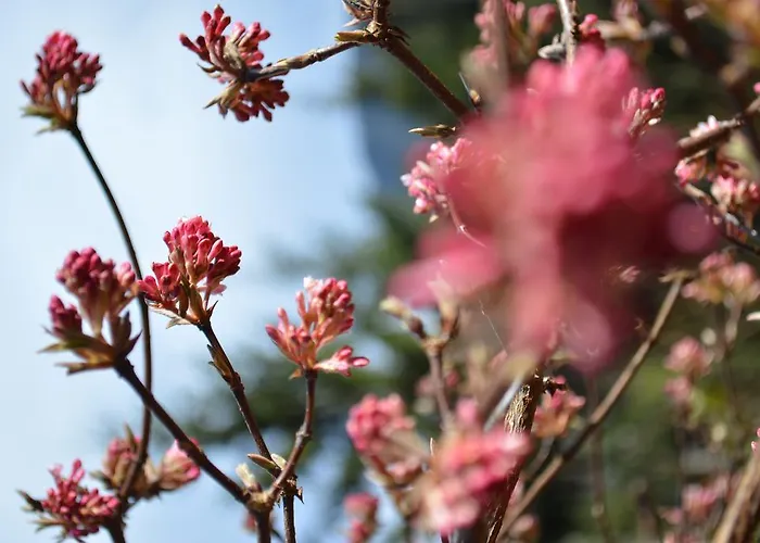Landidyll-hotel Nudelbacher 4* Feldkirchen In Kaernten