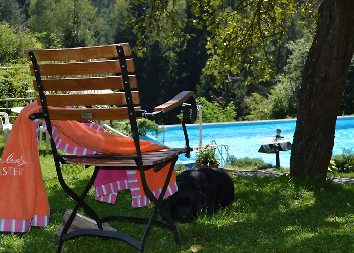 Hotel Landidyll-hotel Nudelbacher