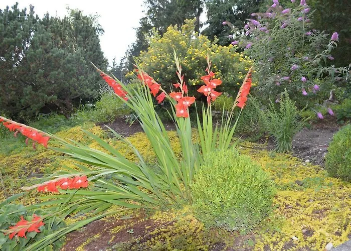 Hotel Landidyll-hotel Nudelbacher